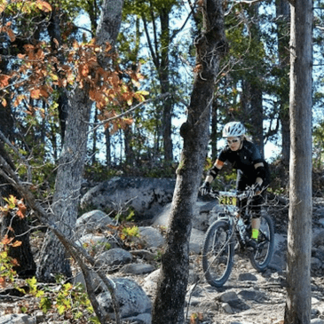 Bike With Disc Brakes